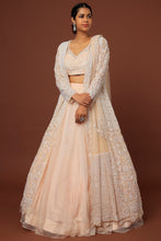 Load image into Gallery viewer, Deep peach organza cutdana, pearl and sequins hand embroidered lehenga