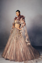 Load image into Gallery viewer, Nina Shimmer Tulle lehenga cape set