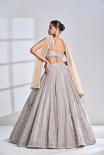 Load image into Gallery viewer, Coffee Silver Lehenga Set