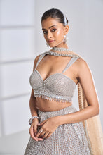 Load image into Gallery viewer, Coffee Silver Lehenga Set