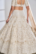 Load image into Gallery viewer, Nude Pearl Lehenga Set