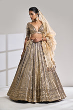 Load image into Gallery viewer, Deep Wine Sequin Lehenga Set