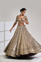 Load image into Gallery viewer, Deep Wine Sequin Lehenga Set