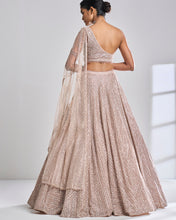 Load image into Gallery viewer, Rose Gold Pearl Lehenga Set