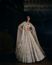 Load image into Gallery viewer, Nude Pearl Lehenga Set