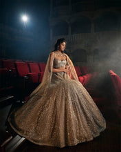 Load image into Gallery viewer, Coffee Silver Lehenga Set