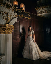 Load image into Gallery viewer, Nude Pearl Lehenga Set