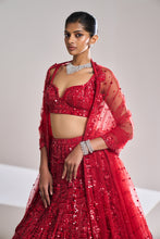 Load image into Gallery viewer, Red Sequin Lehenga Set