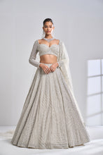 Load image into Gallery viewer, Silver Pearl Lehenga Set