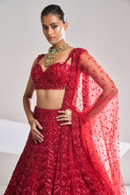 Load image into Gallery viewer, Red Leaf Lehenga