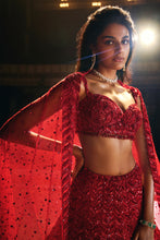 Load image into Gallery viewer, Red Leaf Lehenga