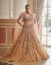 Load image into Gallery viewer, Elaine Blush Pink Shimmer Tulle Ombre Lehenga Set