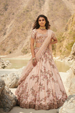Load image into Gallery viewer, Sepia Silk Lehenga Set