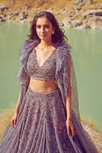 Load image into Gallery viewer, Vamika Shimmer Tulle Lehenga Set