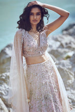 Load image into Gallery viewer, Pink Chiffon Kamdani Lehenga