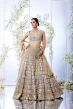 Load image into Gallery viewer, Gold Silver Block Pattern Lehenga Set