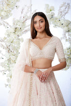 Load image into Gallery viewer, Blush Pearl Lehenga Set