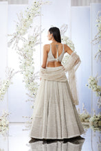 Load image into Gallery viewer, Grey Pearl Lehenga Set