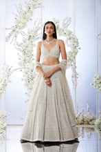 Load image into Gallery viewer, Grey Pearl Lehenga Set