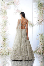 Load image into Gallery viewer, Silver Crystal Lehenga Set
