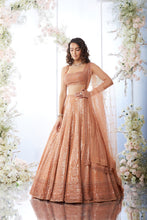 Load image into Gallery viewer, Rust Antique Sequin Lehenga Set