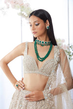 Load image into Gallery viewer, Champagne Floral Lehenga Set