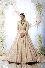 Load image into Gallery viewer, Rose Gold Trail Lehenga Set