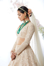 Load image into Gallery viewer, Rose Gold Trail Lehenga Set