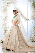 Load image into Gallery viewer, Rose Gold Trail Lehenga Set