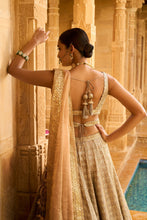 Load image into Gallery viewer, Silver Grey Gota Patti Lehenga Set