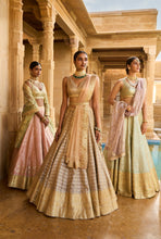 Load image into Gallery viewer, Silver Grey Gota Patti Lehenga Set