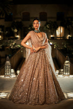 Load image into Gallery viewer, Nude Sequin Lehenga Set