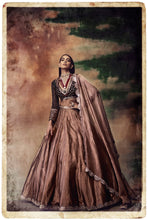 Load image into Gallery viewer, Intricate Hand Emb Blouse With Tissue Lehenga Set