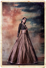 Load image into Gallery viewer, Intricate Hand Emb Blouse With Tissue Lehenga Set