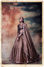 Load image into Gallery viewer, Intricate Hand Emb Blouse With Tissue Lehenga Set