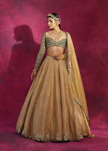 Load image into Gallery viewer, Mud Green & Gold Tissue Lehenga Set