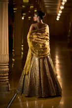 Load image into Gallery viewer, Olive Green Mirror Work Lehenga Set