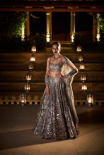 Load image into Gallery viewer, Metallic Grey Lehenga Set