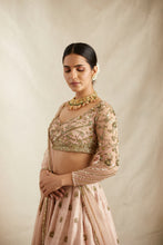Load image into Gallery viewer, Peach Pink Embroidered Lehenga Set
