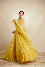 Load image into Gallery viewer, MUSTARD THREADWORK LEHENGA SET