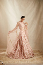 Load image into Gallery viewer, BLUSH PINK RAWSILK ZIGZAG LEHENGA SET