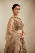 Load image into Gallery viewer, BROWN ORGANZA JAAL WORK LEHENGA SET