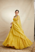 Load image into Gallery viewer, MUSTARD THREADWORK LEHENGA SET