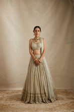 Load image into Gallery viewer, MINT CHANDERI HEAVY SITARA WORK LEHENGA SET