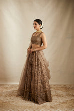 Load image into Gallery viewer, BROWN ORGANZA JAAL WORK LEHENGA SET