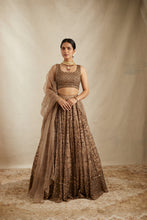 Load image into Gallery viewer, BROWN ORGANZA JAAL WORK LEHENGA SET