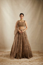 Load image into Gallery viewer, BROWN ORGANZA JAAL WORK LEHENGA SET