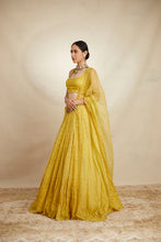 Load image into Gallery viewer, MUSTARD THREADWORK LEHENGA SET
