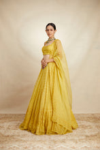 Load image into Gallery viewer, MUSTARD THREADWORK LEHENGA SET