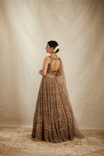 Load image into Gallery viewer, BROWN ORGANZA JAAL WORK LEHENGA SET